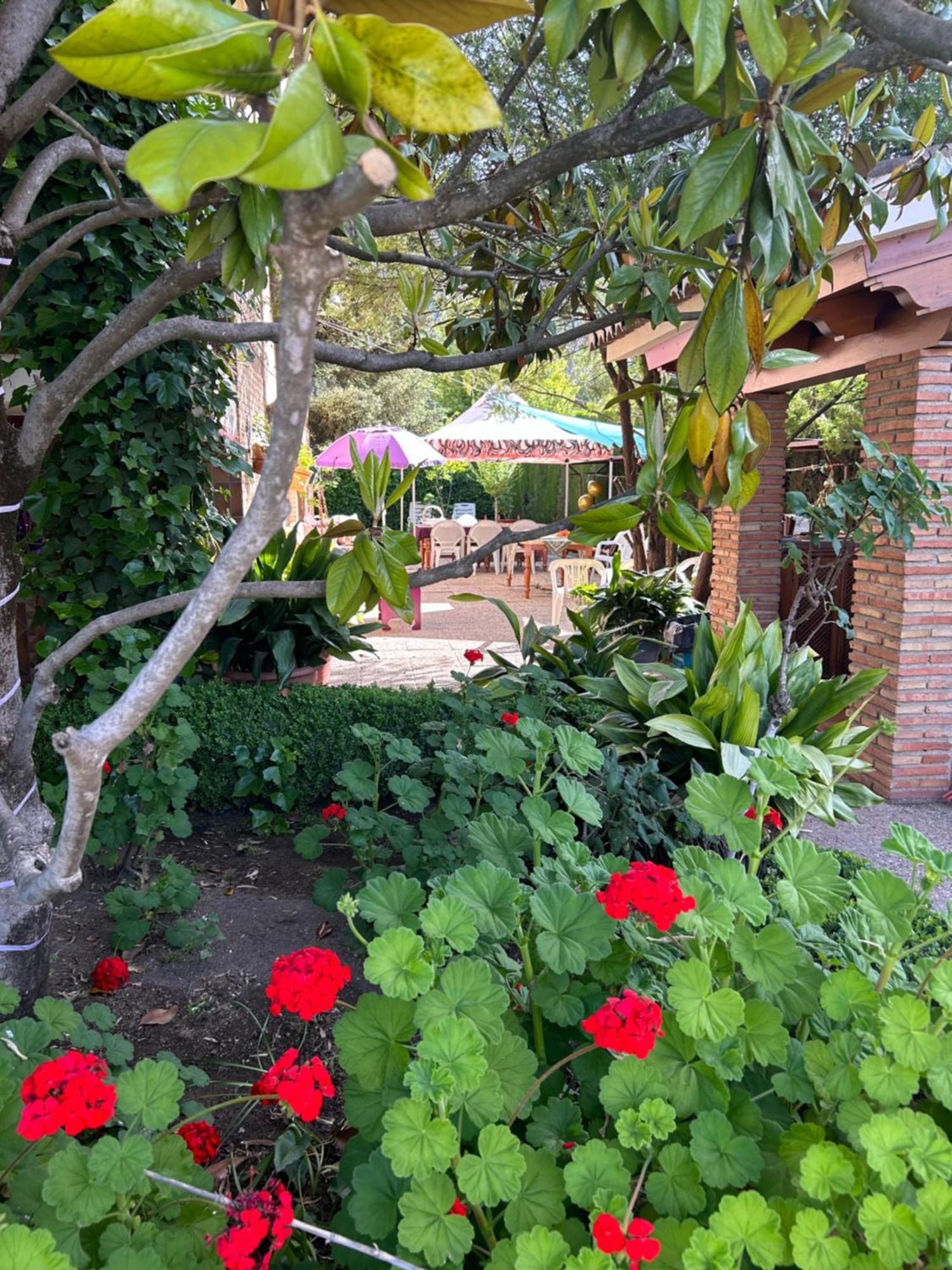 Casa Los Rosales Alfacar Exterior photo